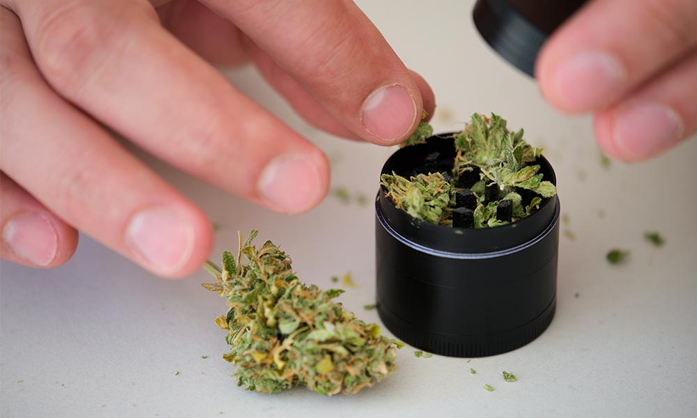 Cannabis