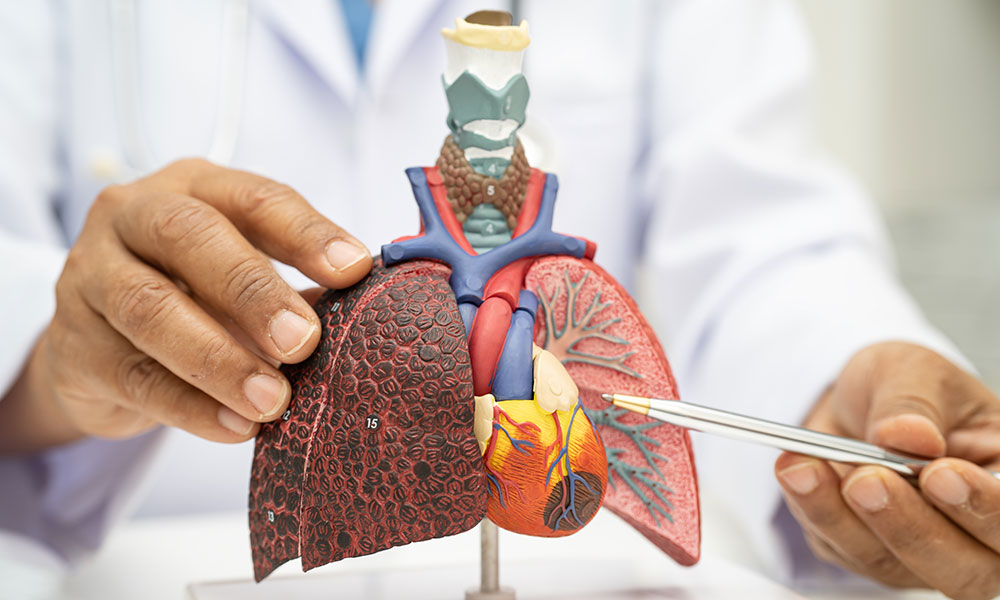 As Buprenorphine works in the central nervous system, the possibility of respiratory depression exists .