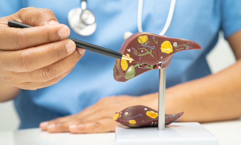 Alcohol and duloxetine are both processed by the liver, so taking them together increases liver strain.