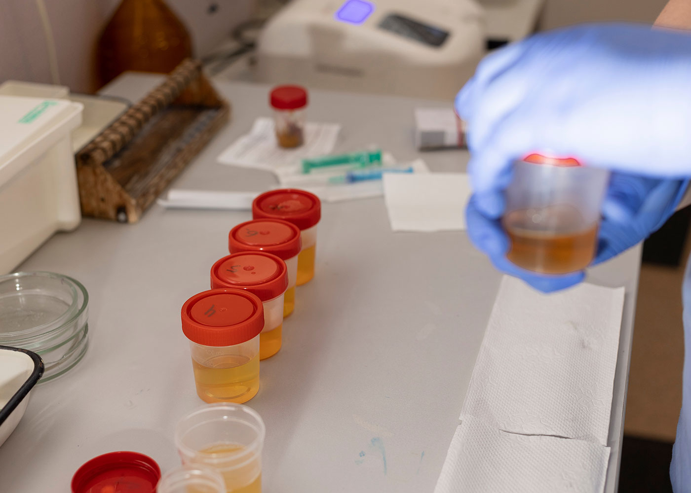 false positives test for opioids resulting from kratom exposure seem rare
